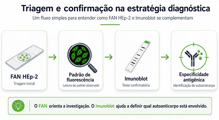 Euroimmun Brasil - Diagnóstico Médico Laboratorial