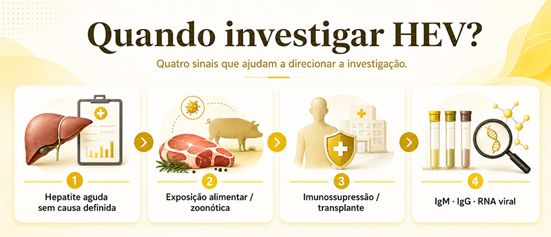 Hepatite E (HEV) - Euroimmun Brasil